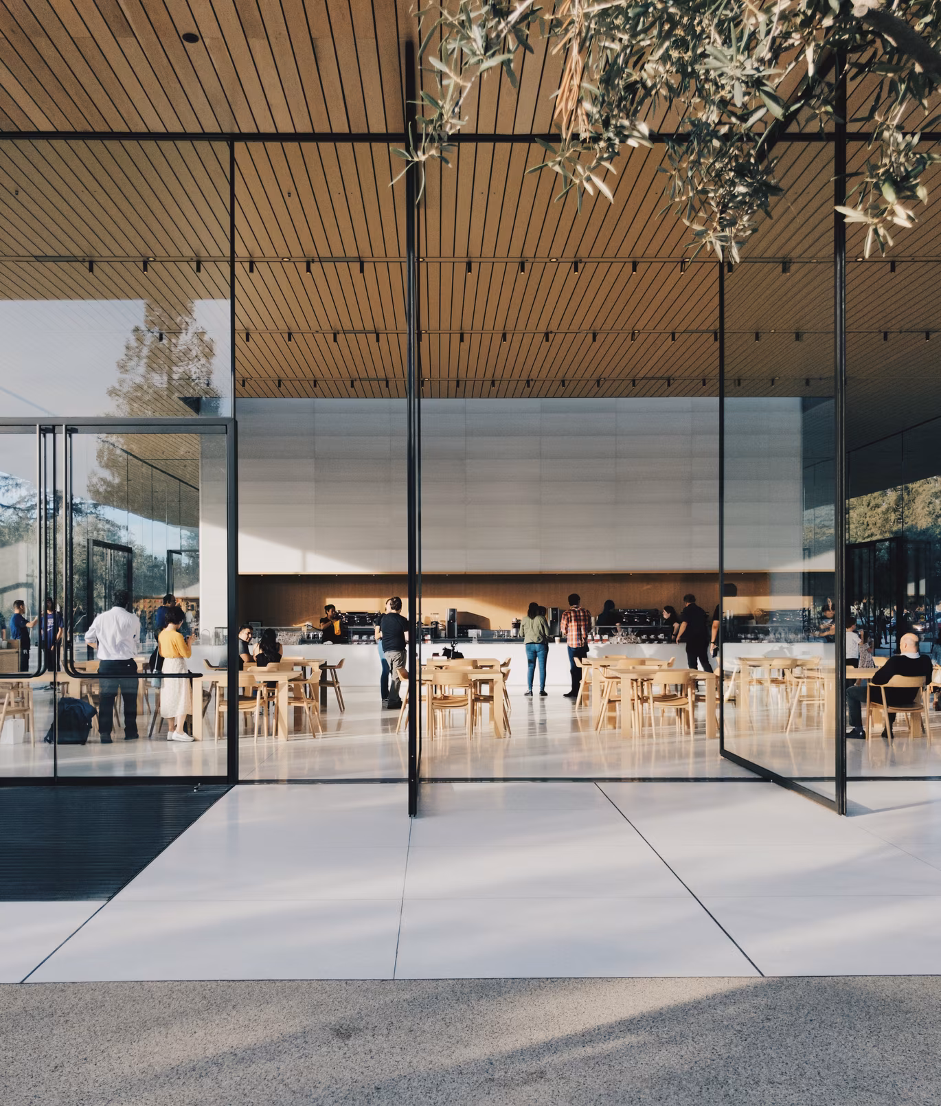 Apple Park photo 8