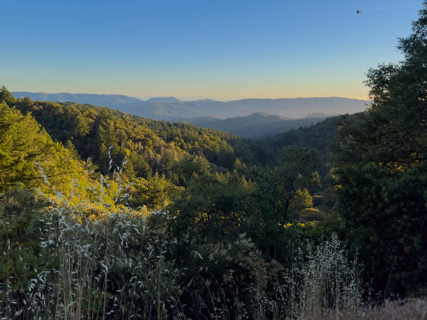 Castle Rock State Park photo 4