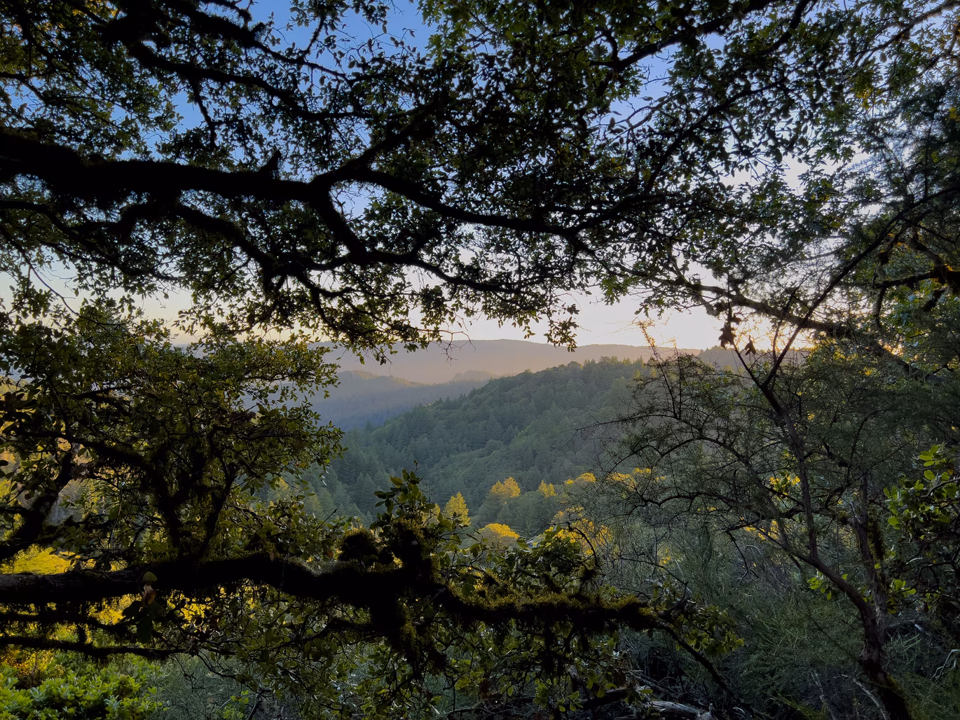 Castle Rock State Park photo 3