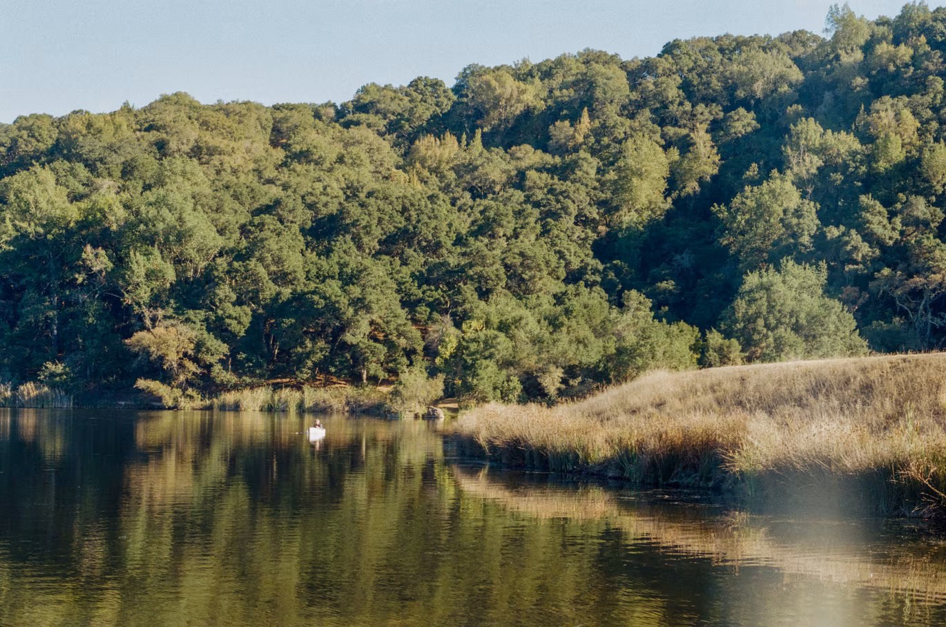 Foothills Park photo 6