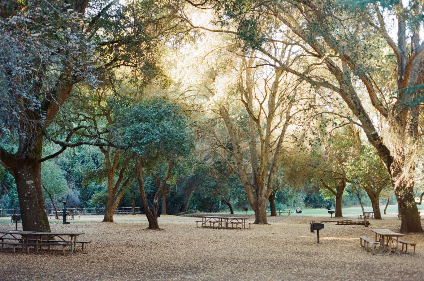 Foothills Park photo 11