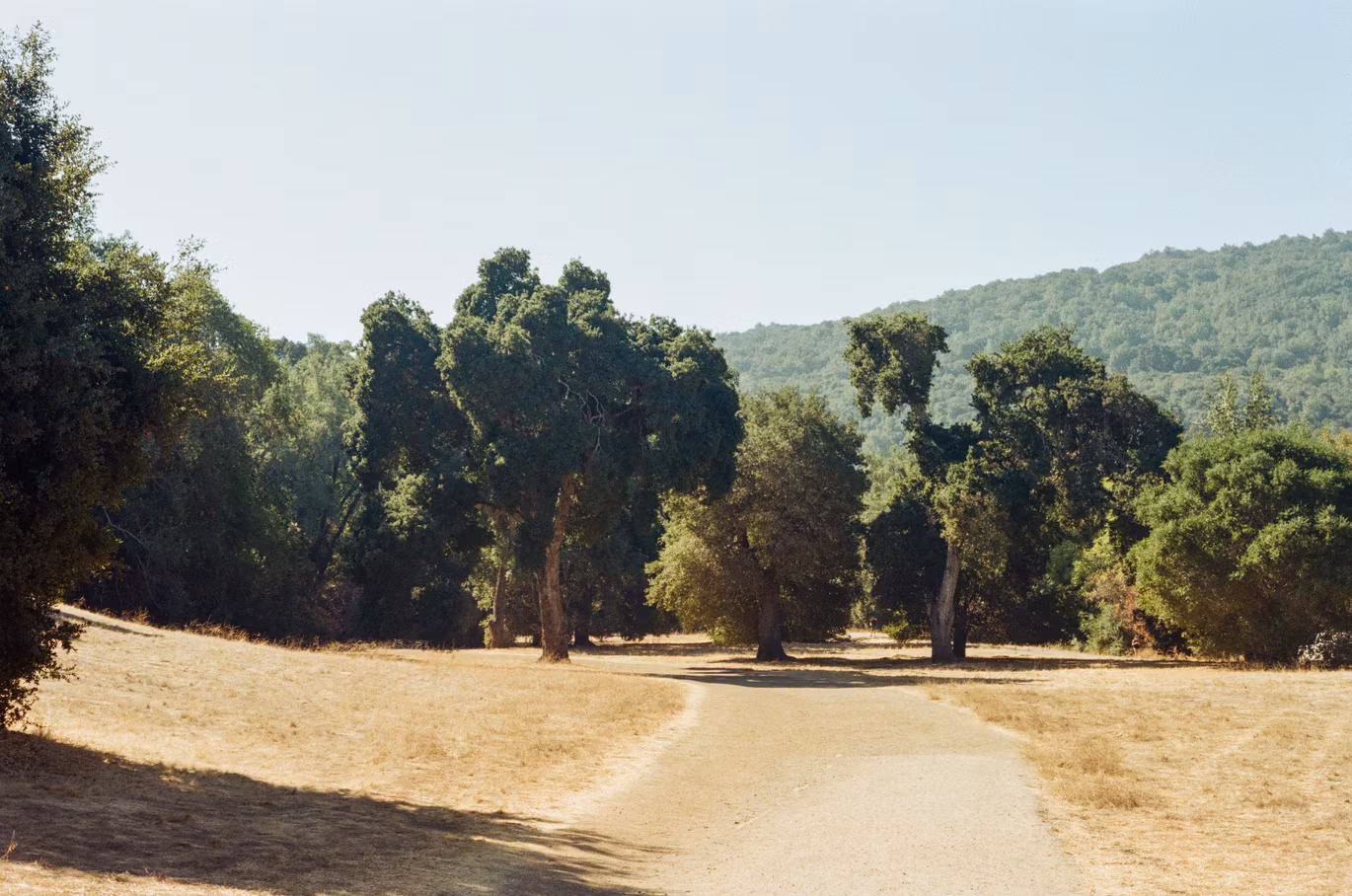Rancho San Antonio photo 5