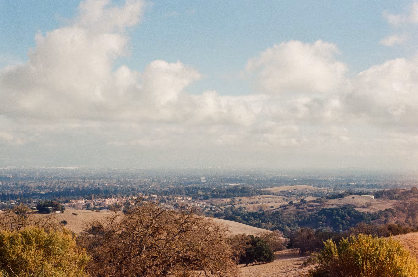 Rancho San Antonio photo 4