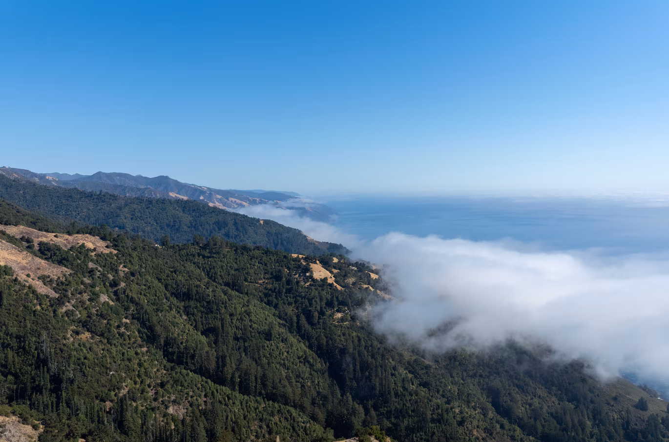 Big Sur photo 38