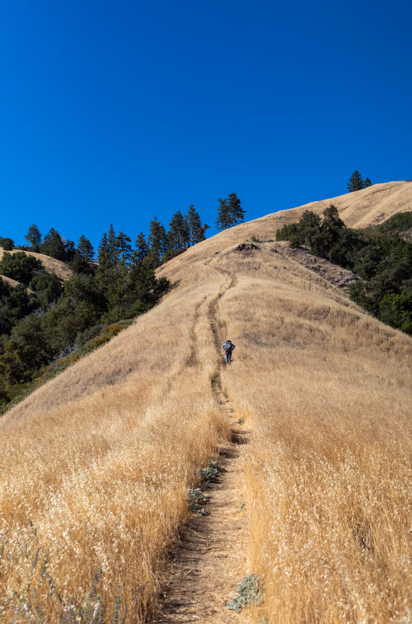 Big Sur photo 7