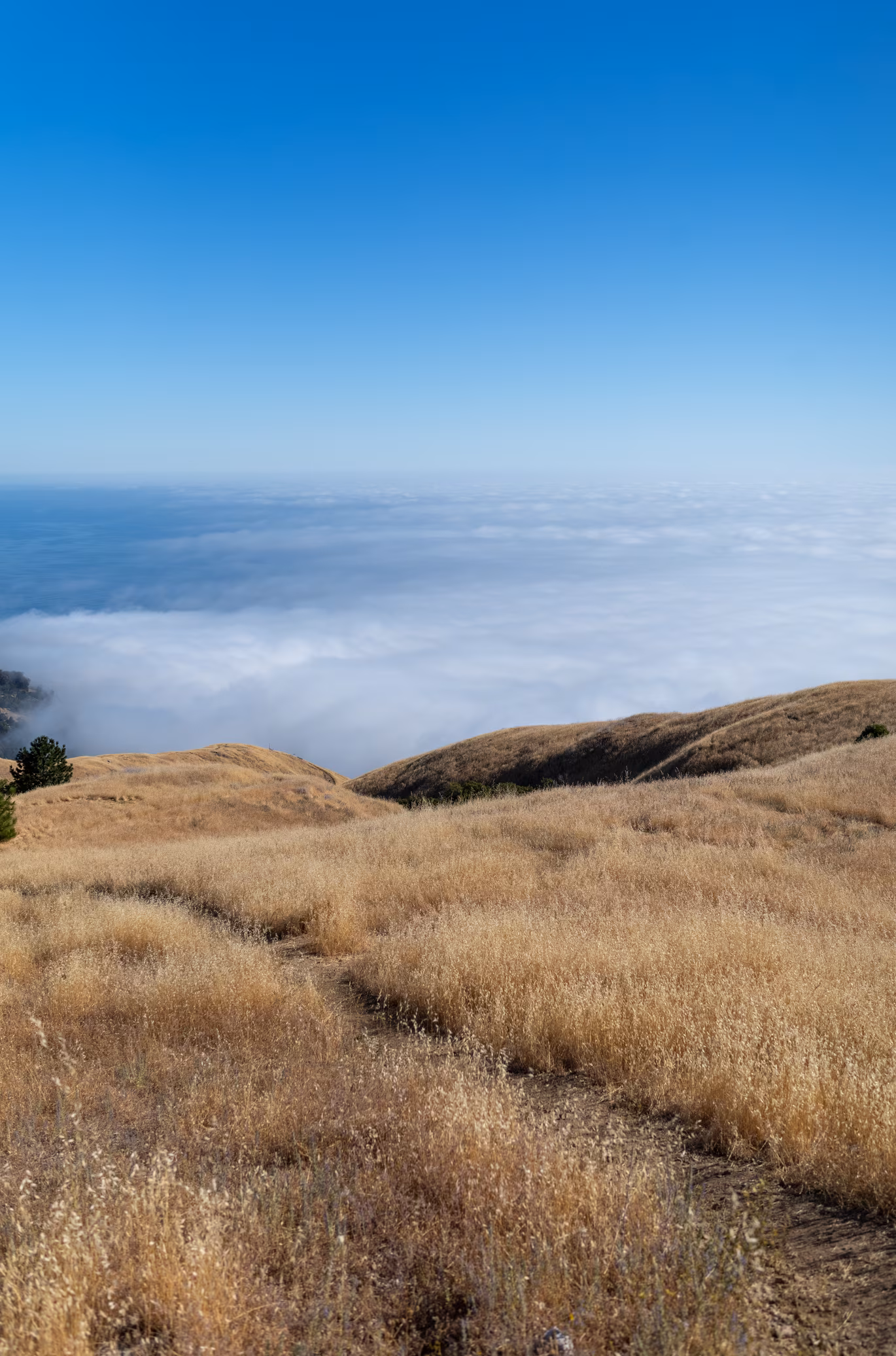 Big Sur photo 27