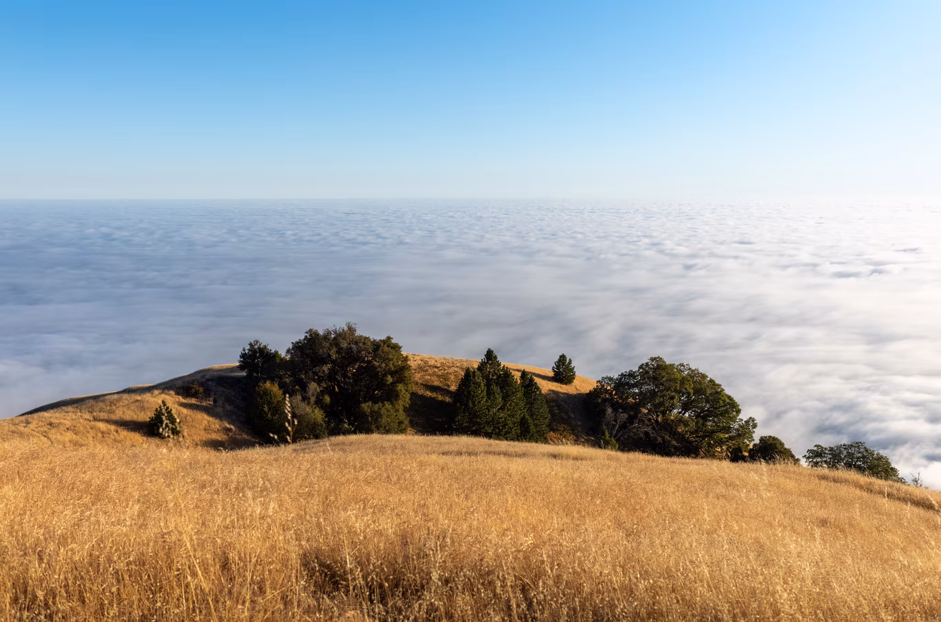 Big Sur photo 18