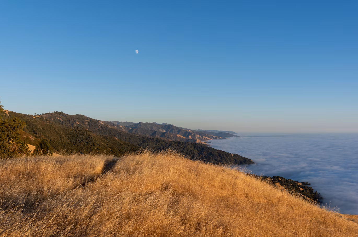 Big Sur photo 36