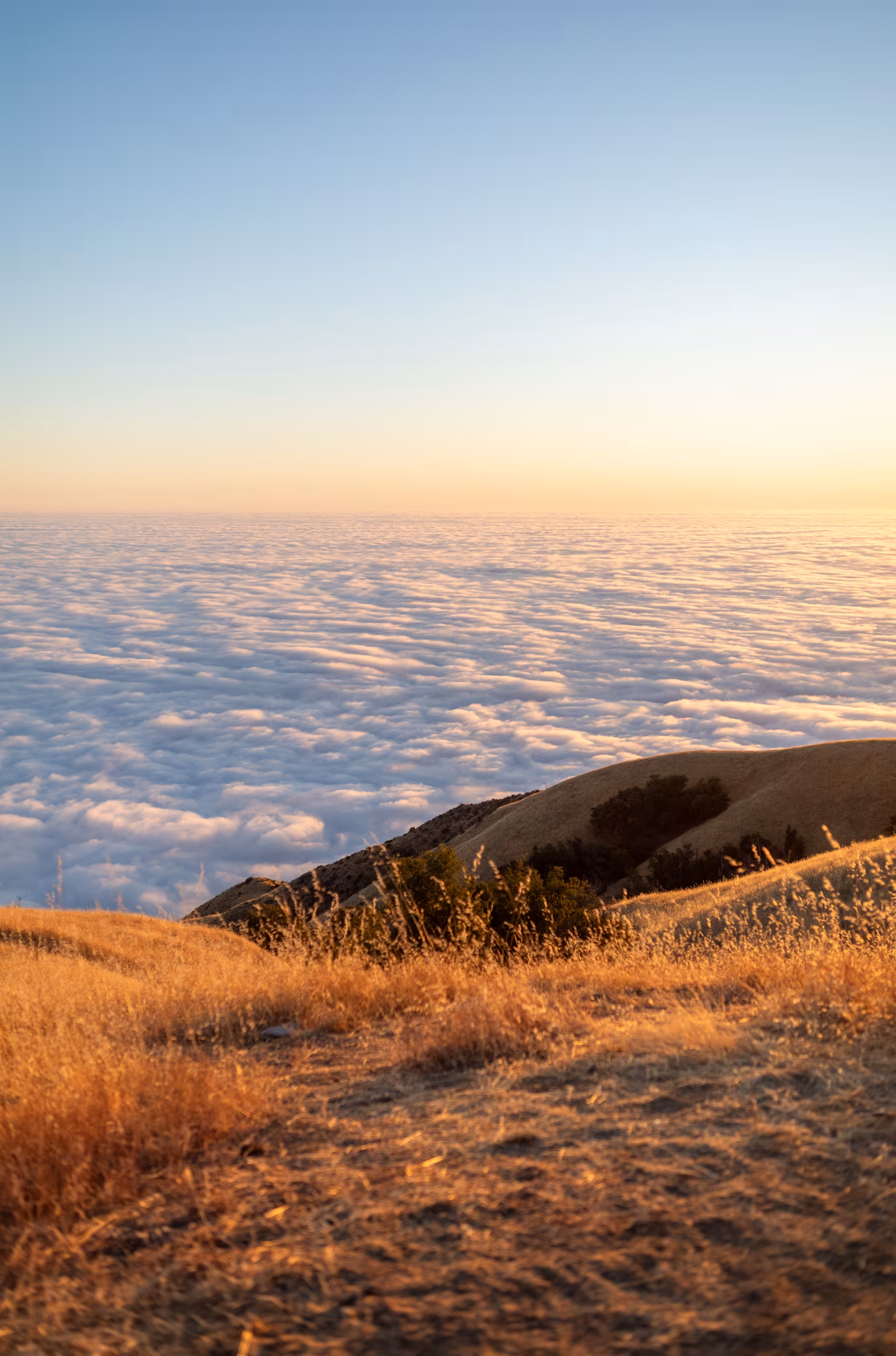 Big Sur photo 2