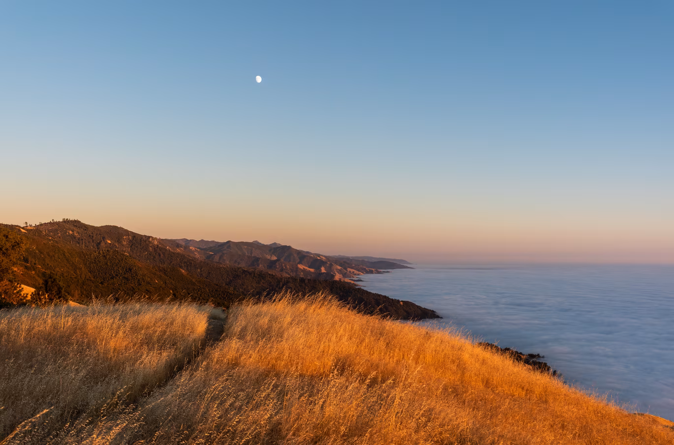 Big Sur photo 23