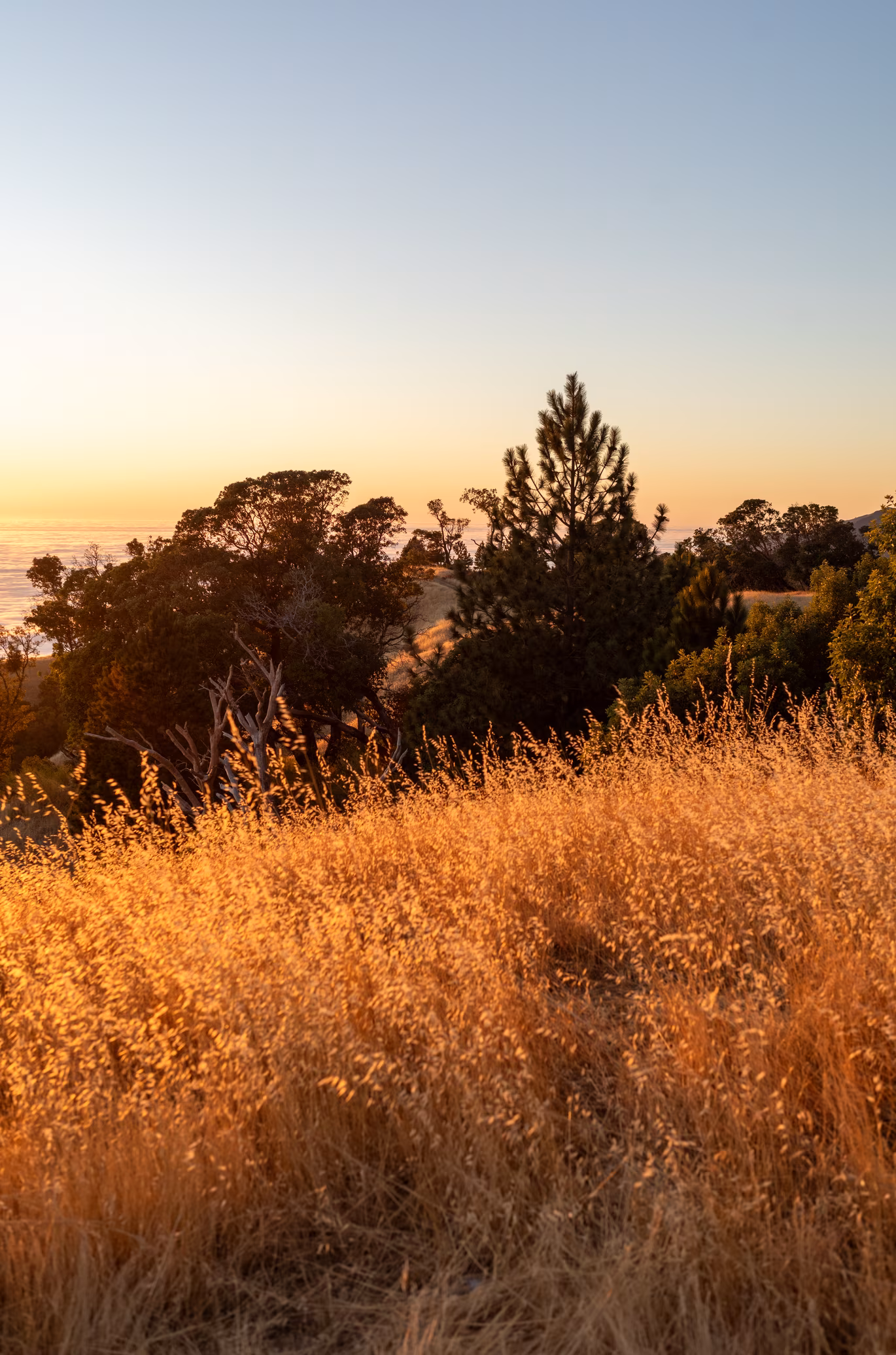 Big Sur photo 13