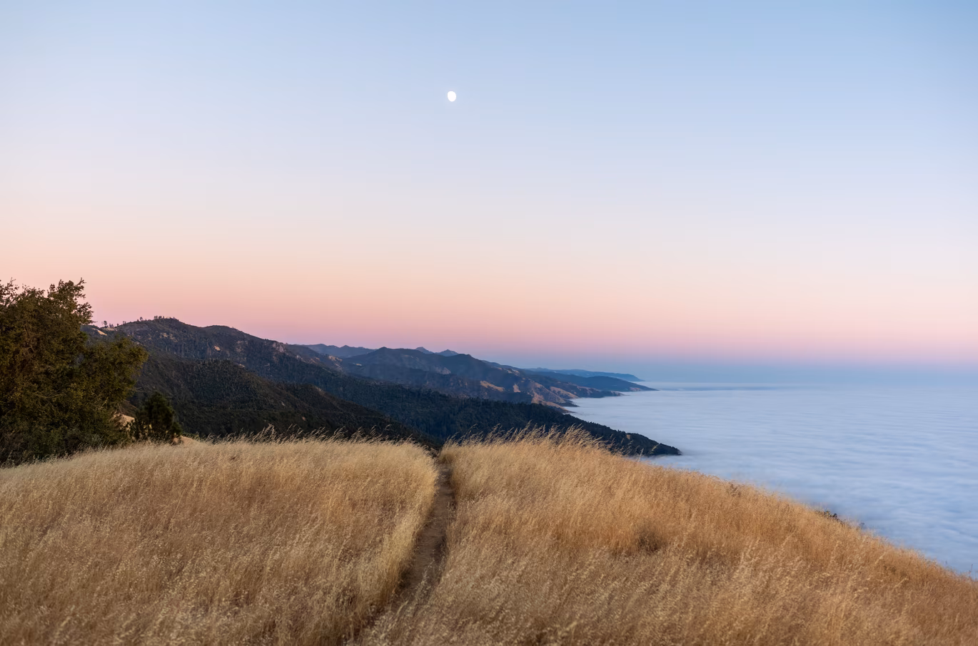 Big Sur photo 15