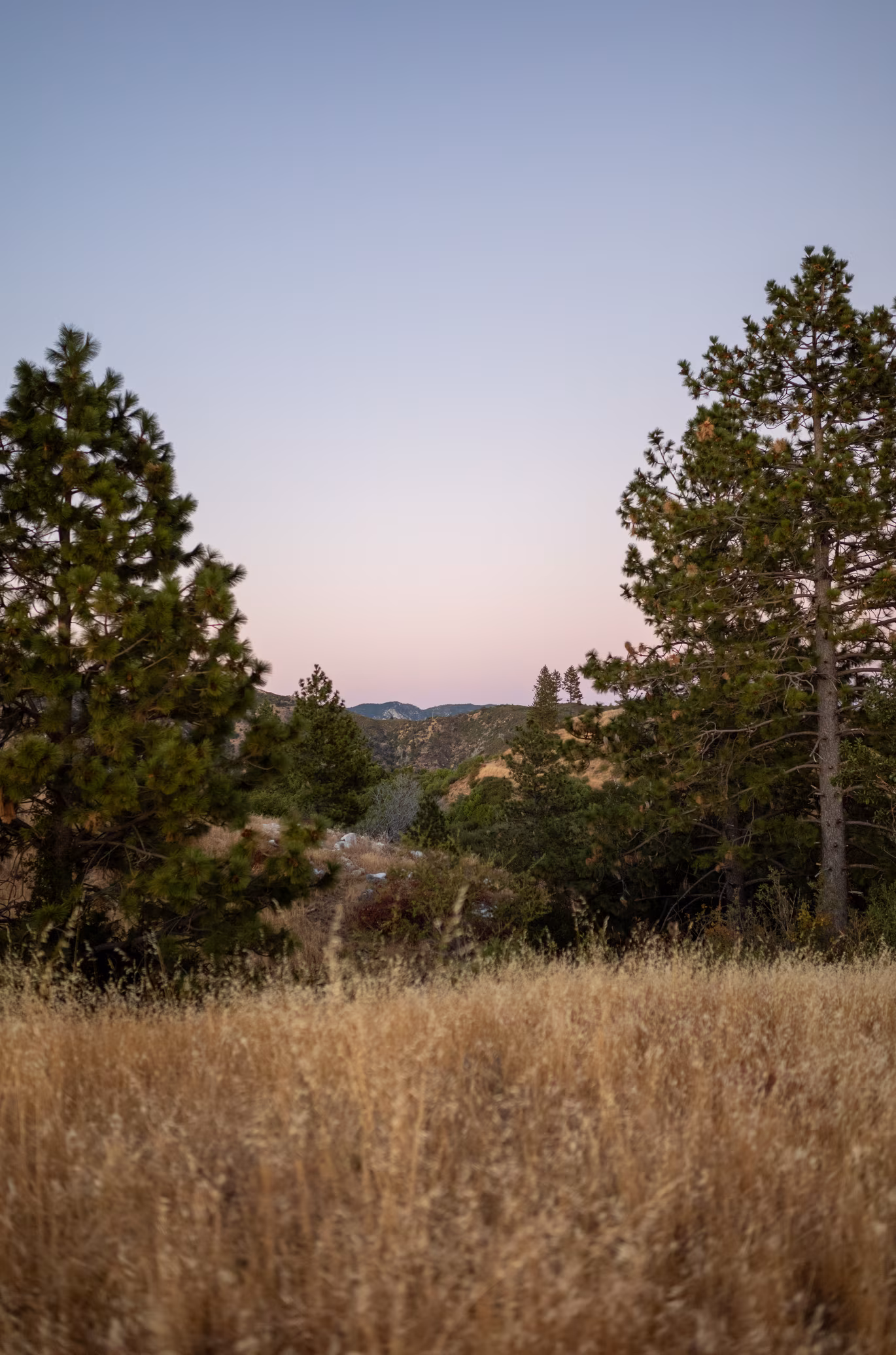 Big Sur photo 14