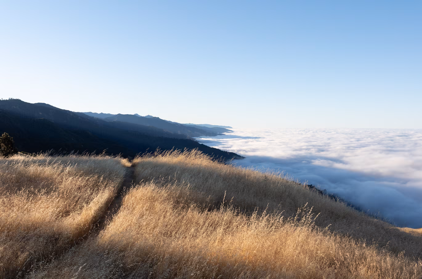 Big Sur photo 3