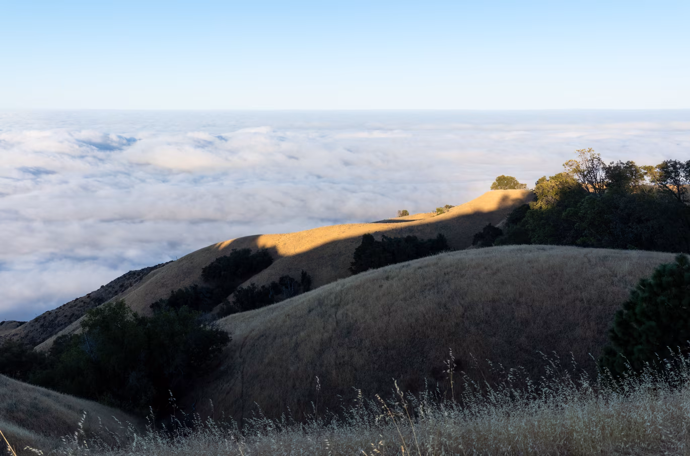 Big Sur photo 34