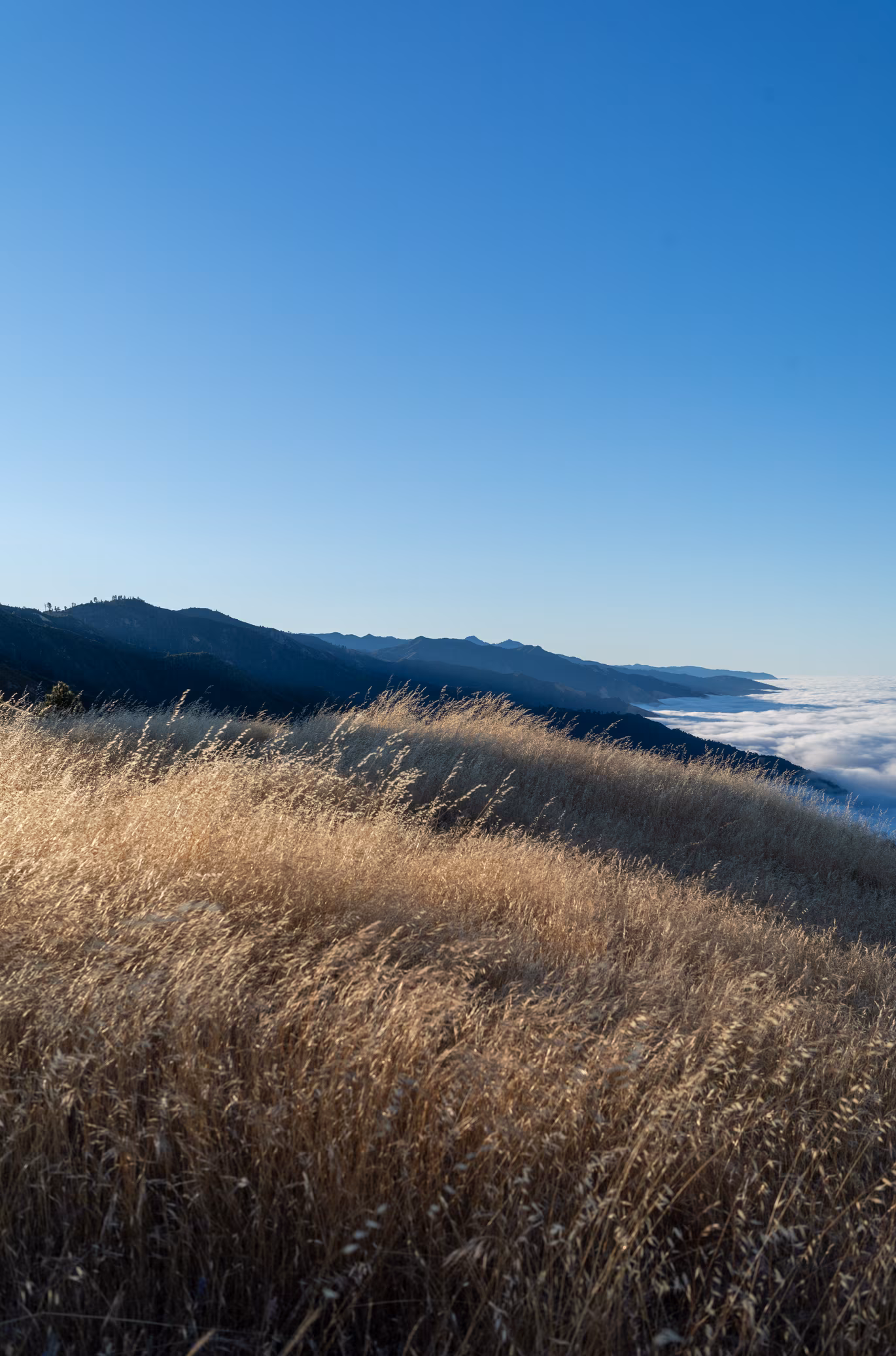 Big Sur photo 11