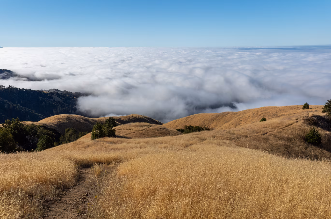 Big Sur photo 17
