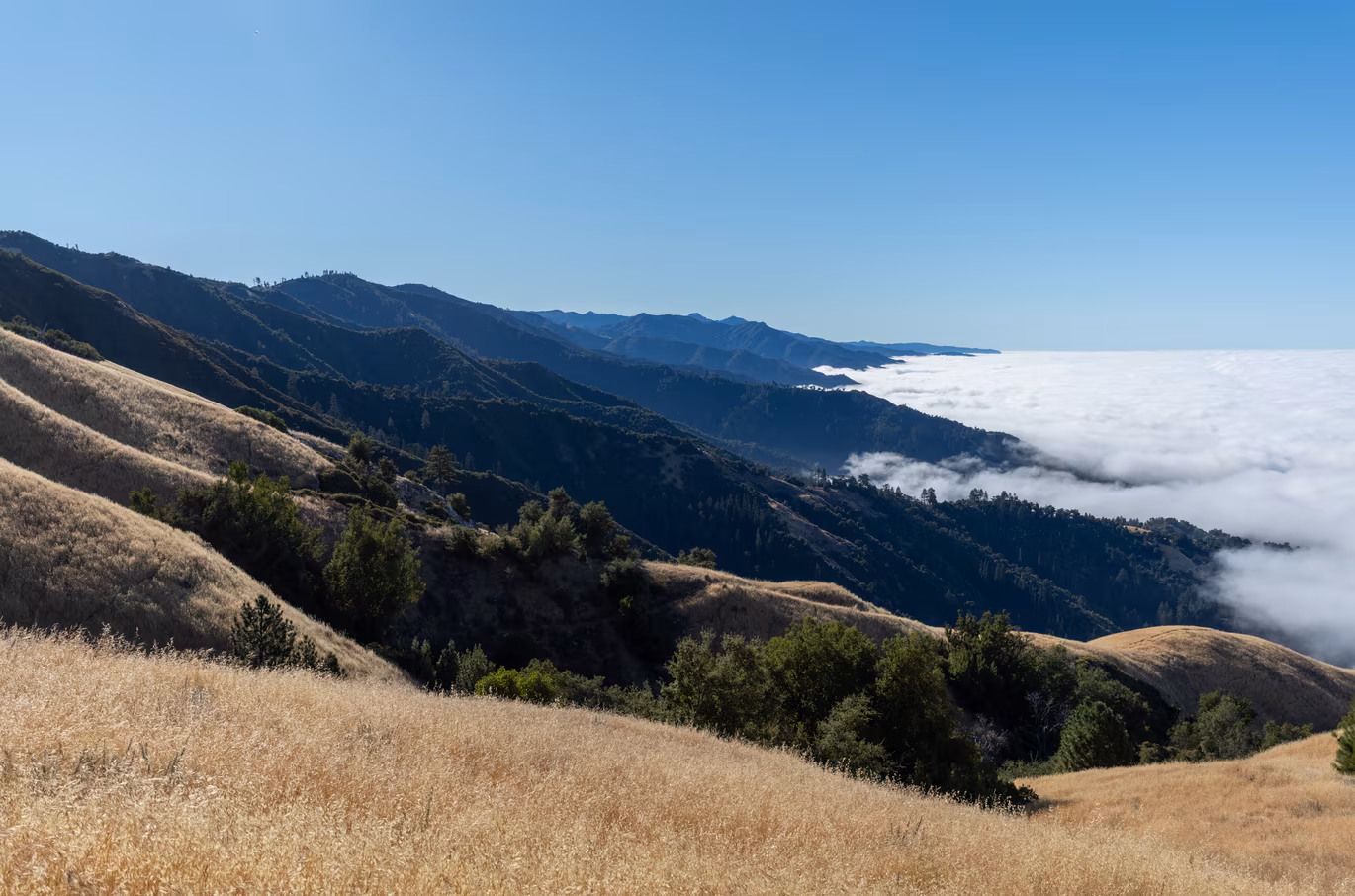 Big Sur photo 1