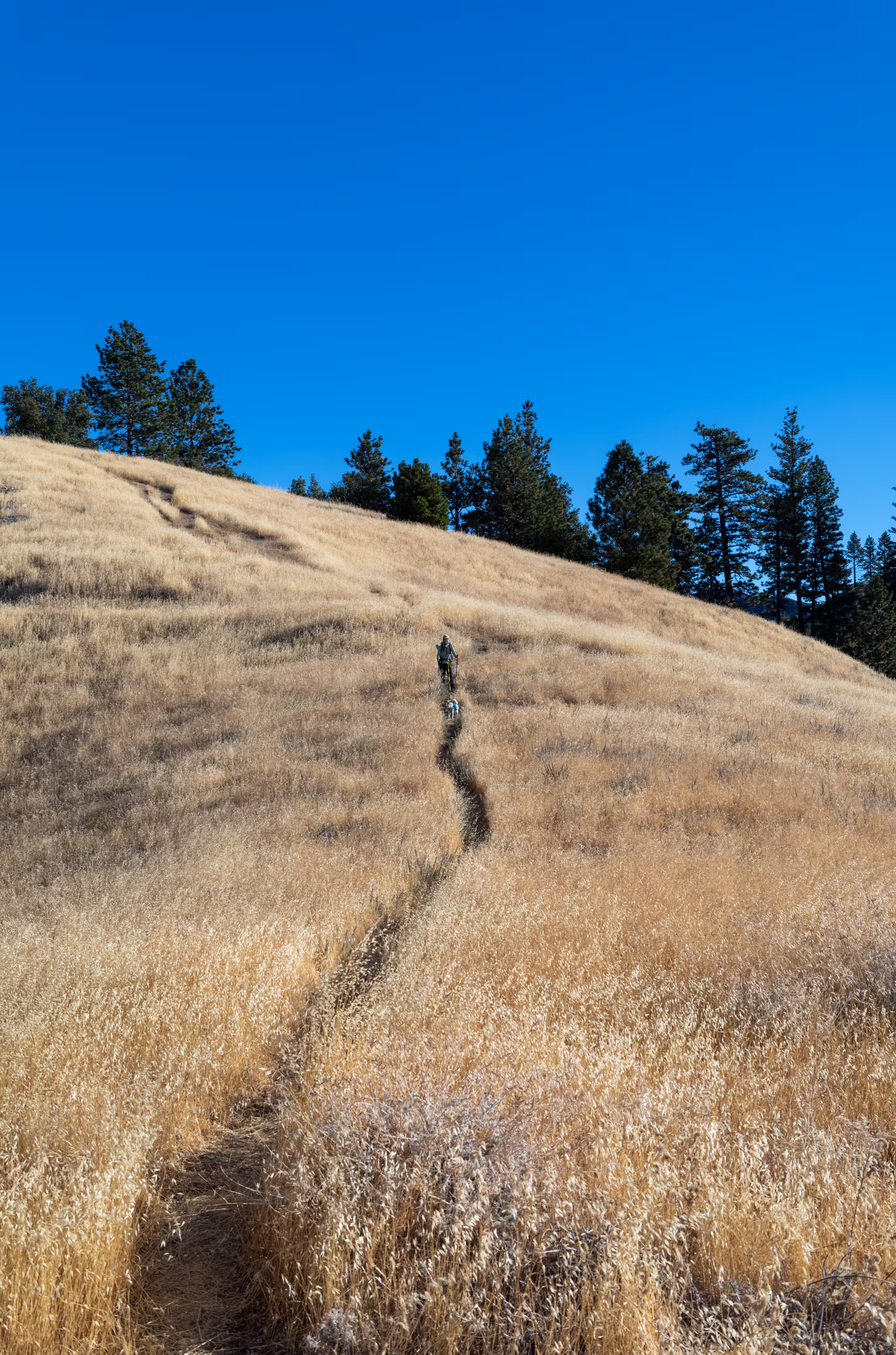 Big Sur photo 22