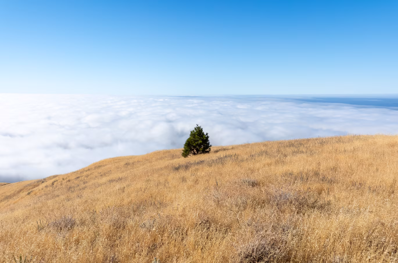 Big Sur photo 37