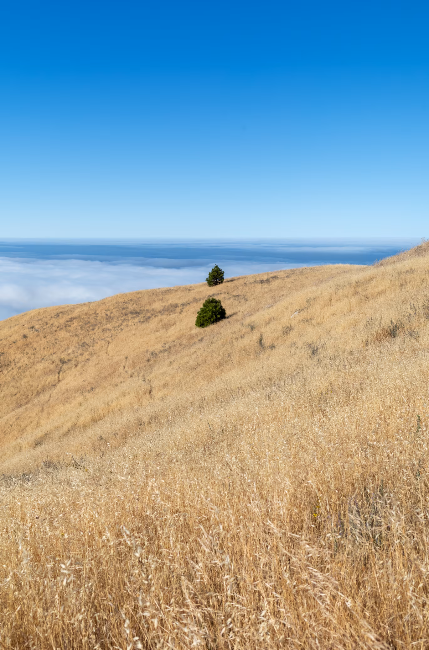 Big Sur photo 21