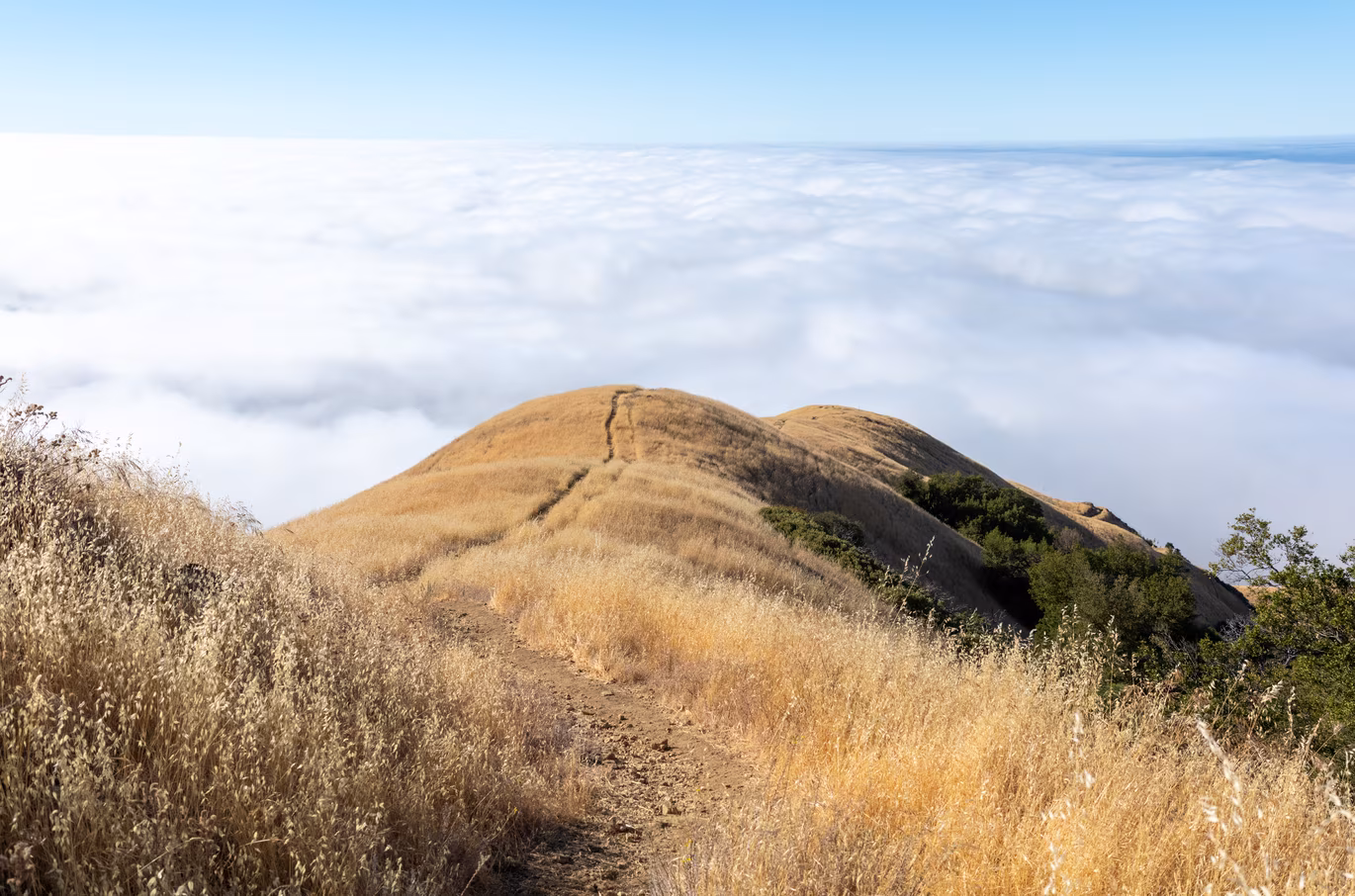 Big Sur photo 29