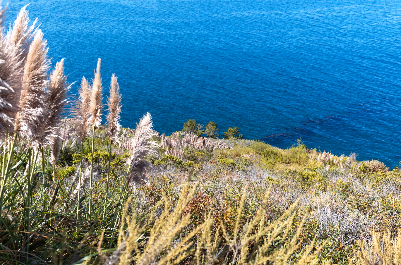 Big Sur photo 31