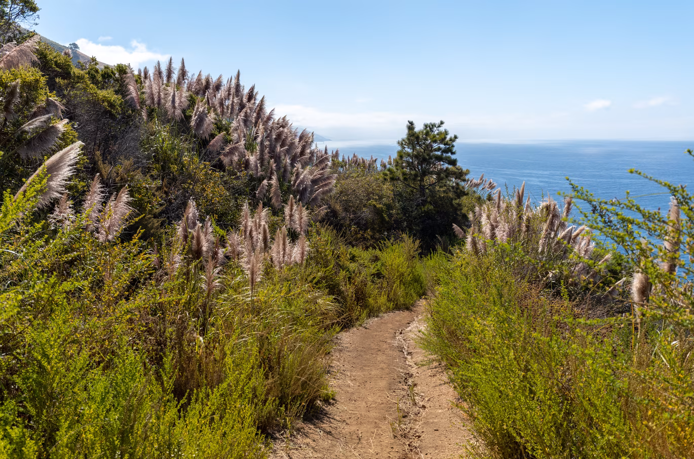 Big Sur photo 24