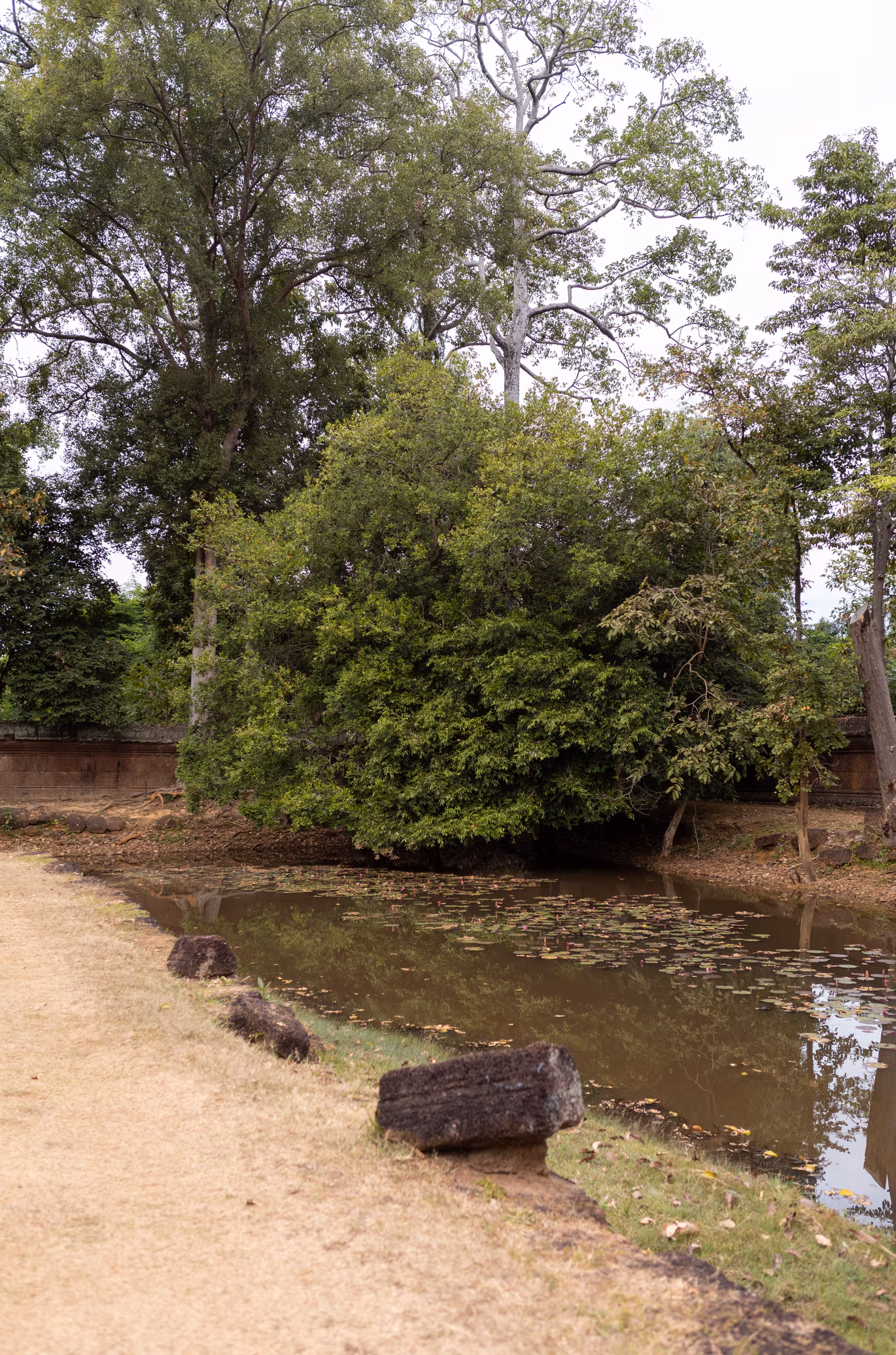 Cambodia & Thailand photo 5