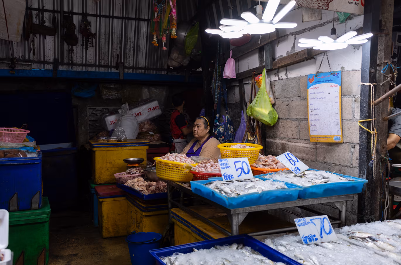 Cambodia & Thailand photo 18