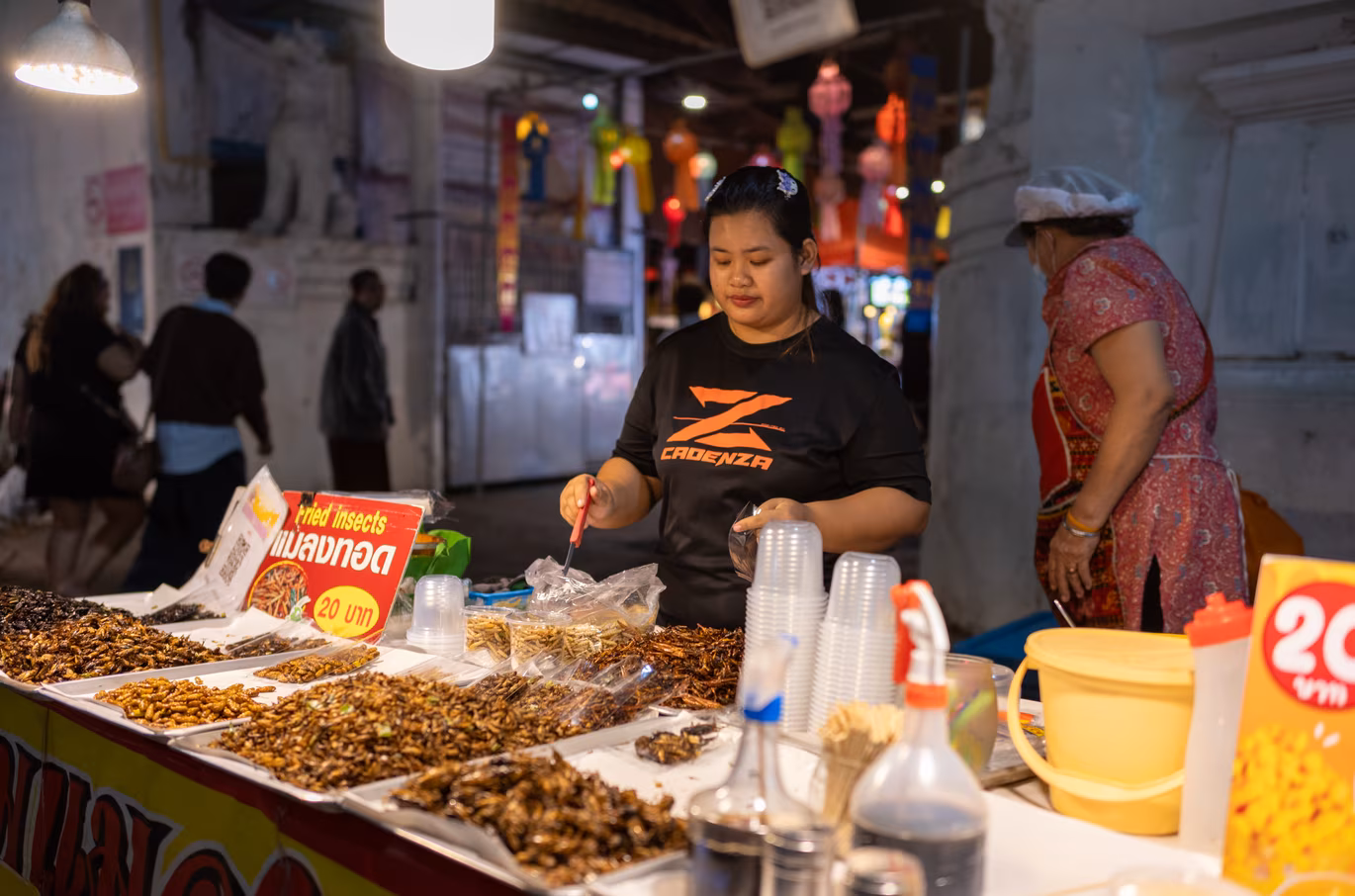 Cambodia & Thailand photo 49