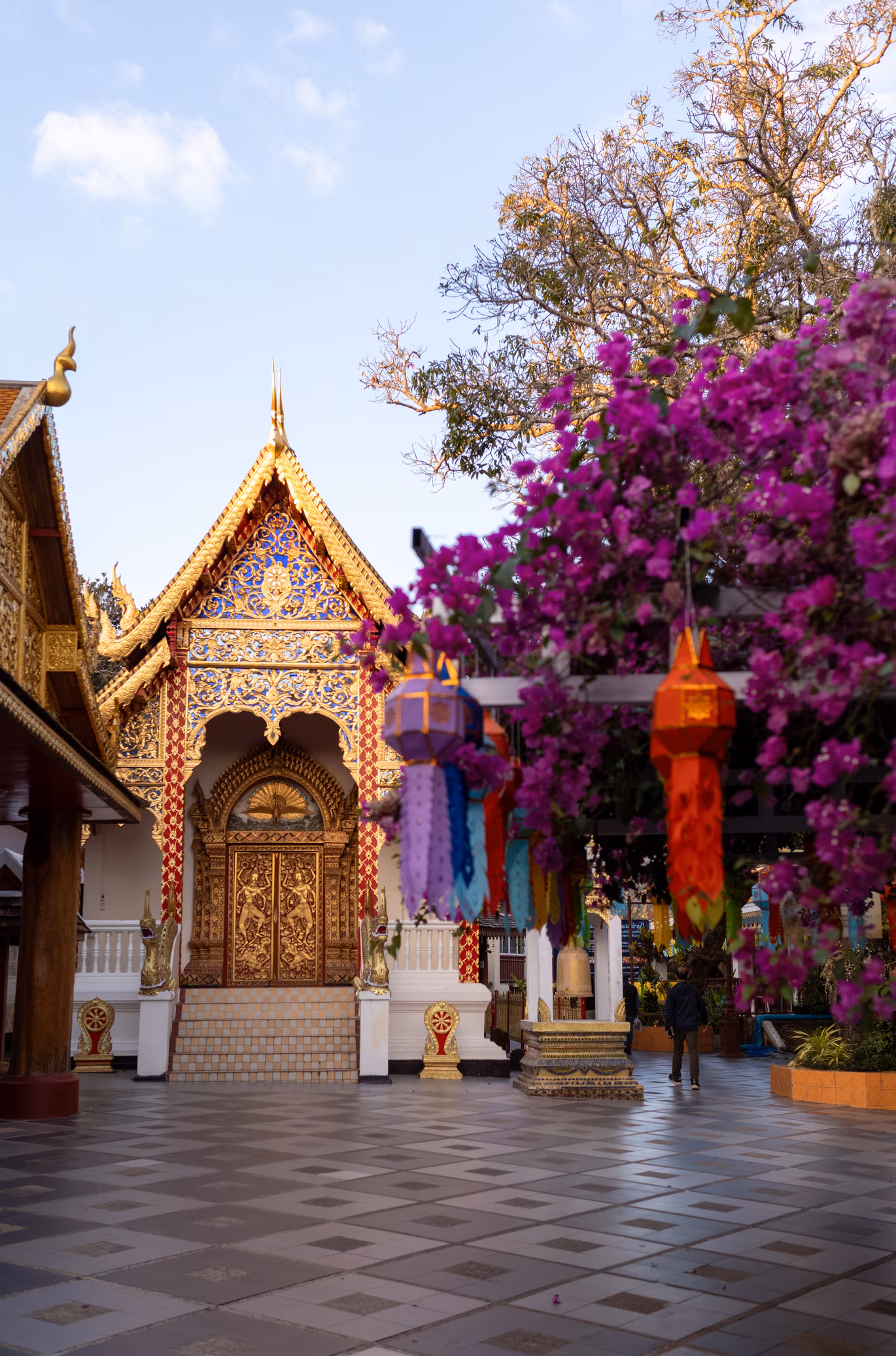 Cambodia & Thailand photo 4
