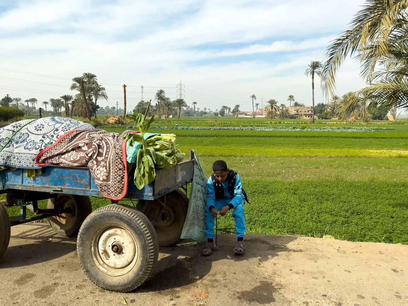 Luxor photo 49