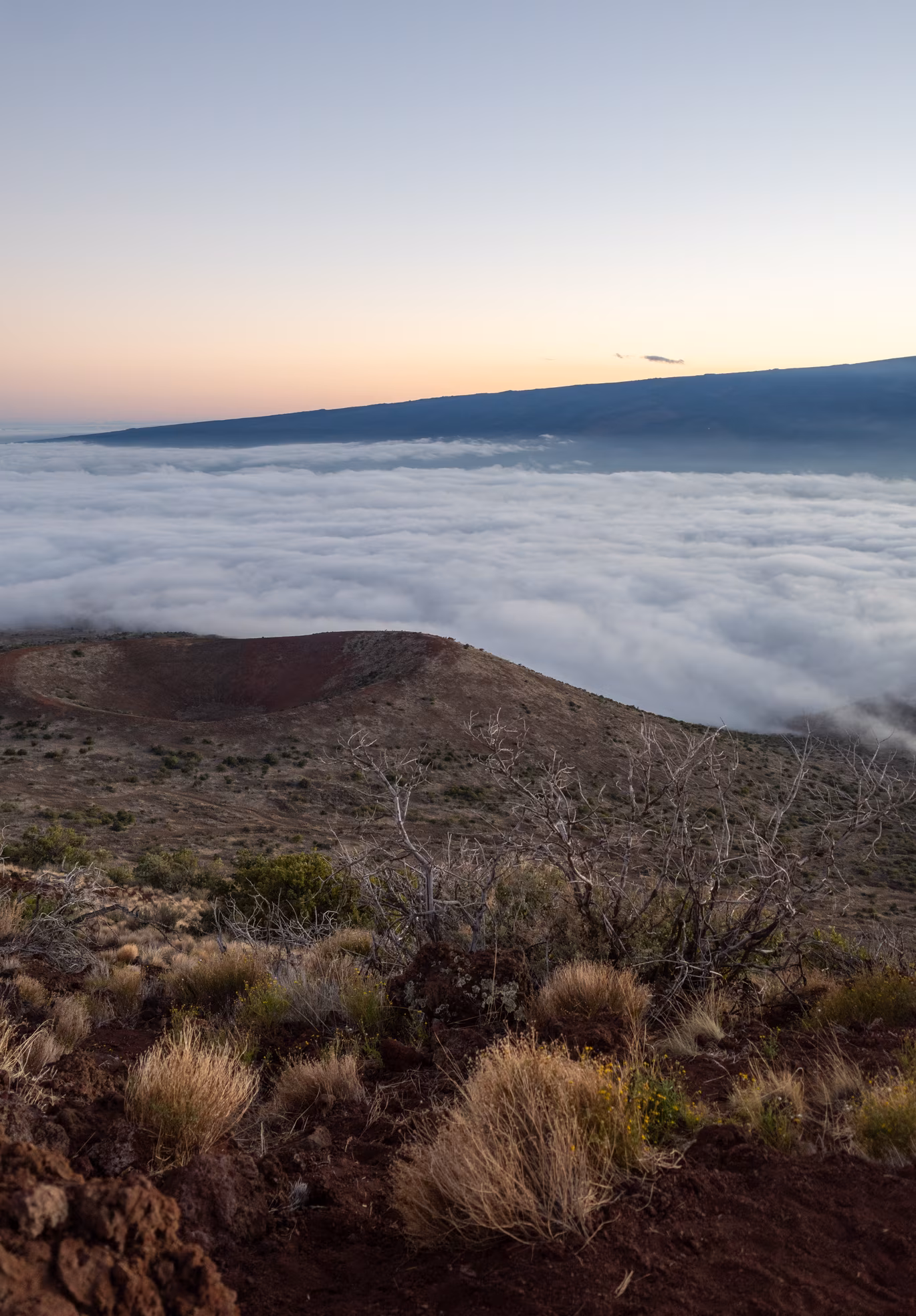 Hawaii photo 43