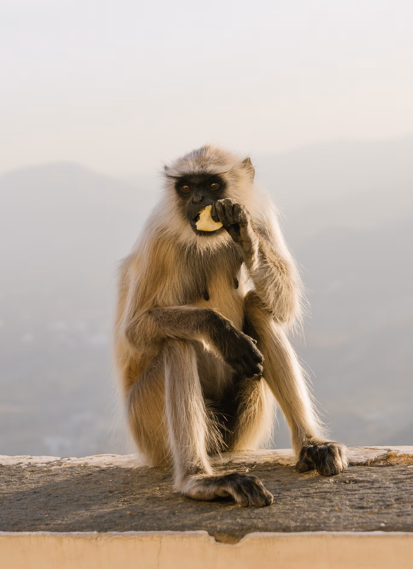Udaipur photo 9