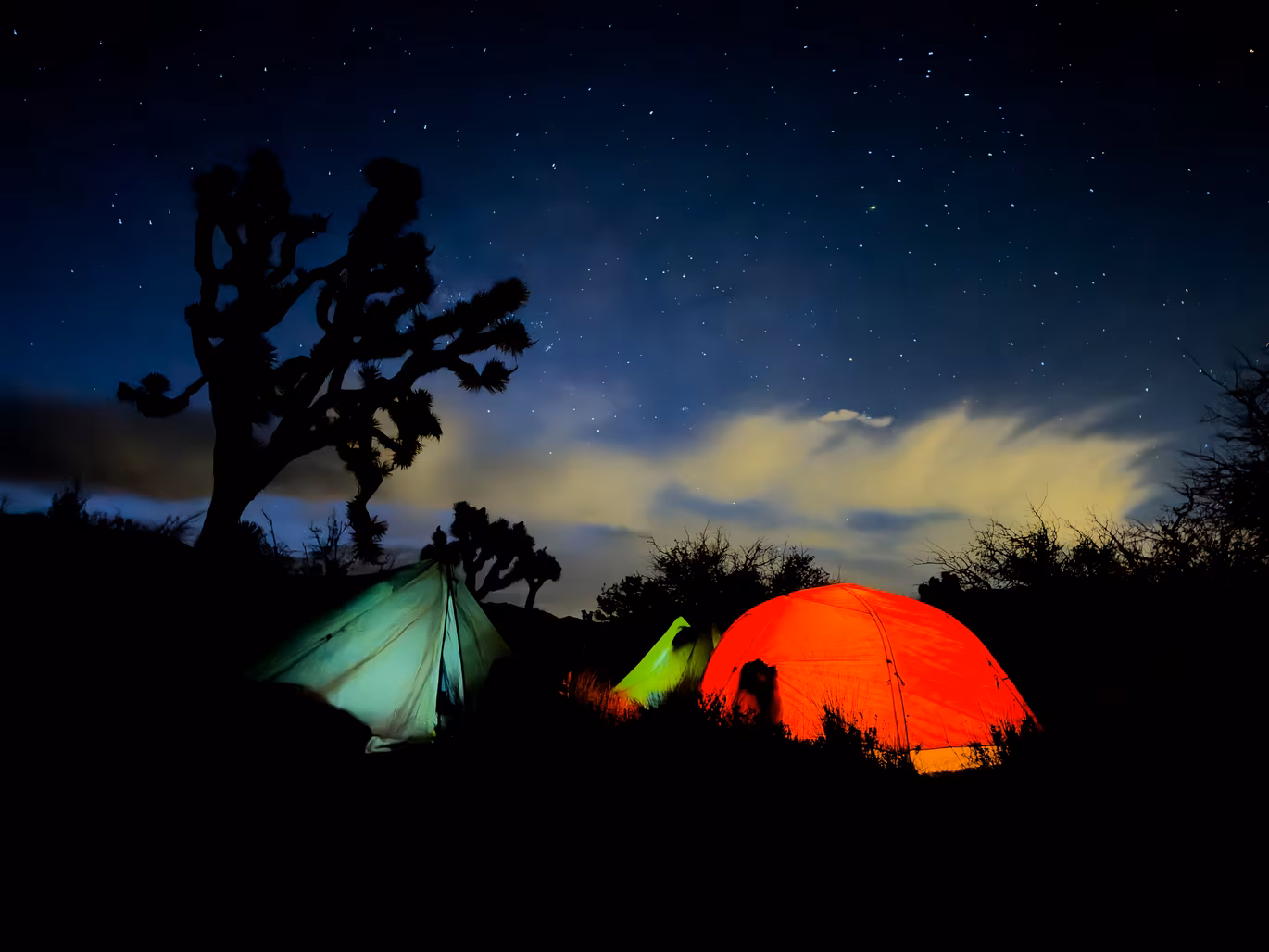 Joshua Tree photo 11