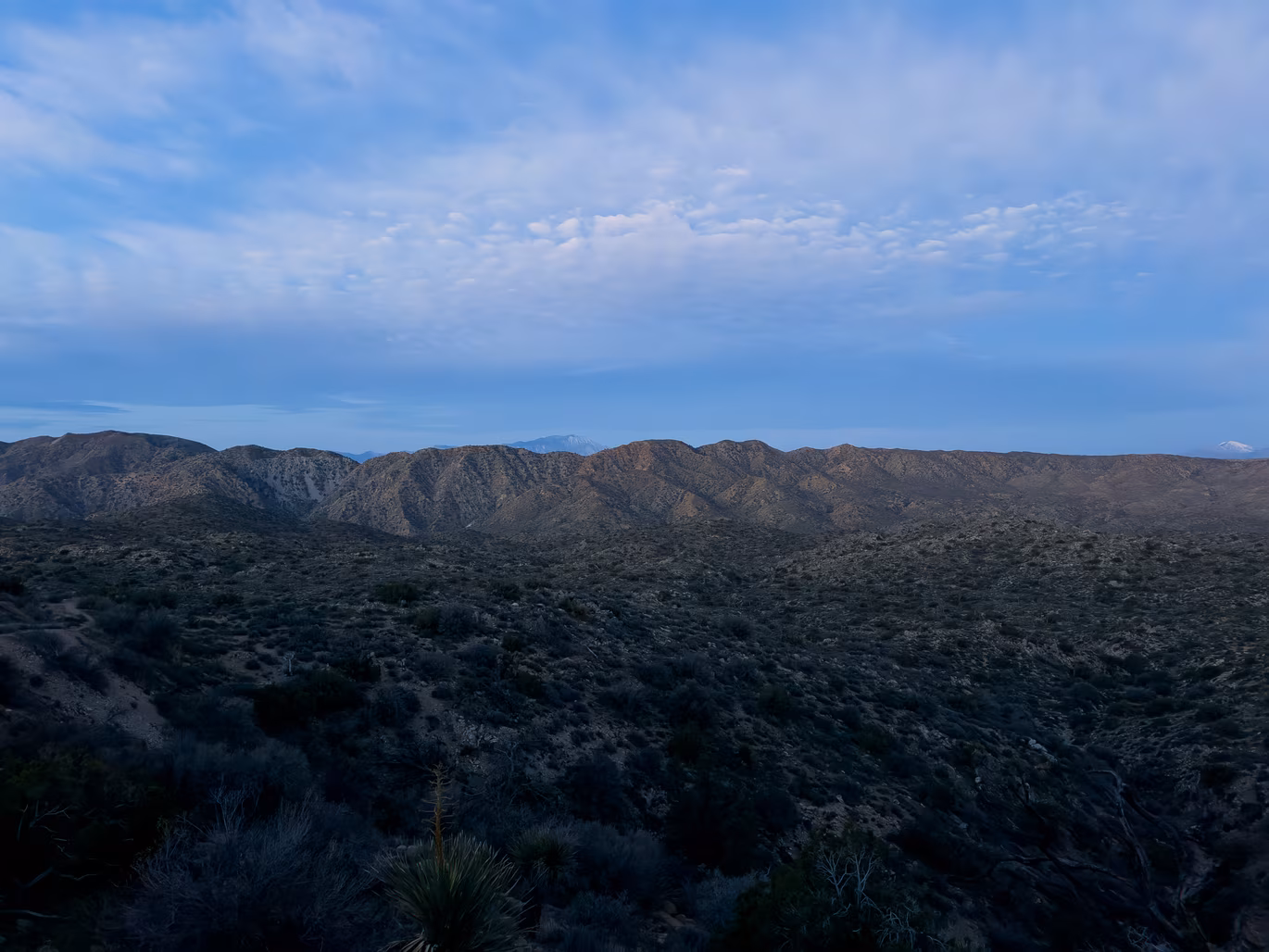 Joshua Tree photo 2