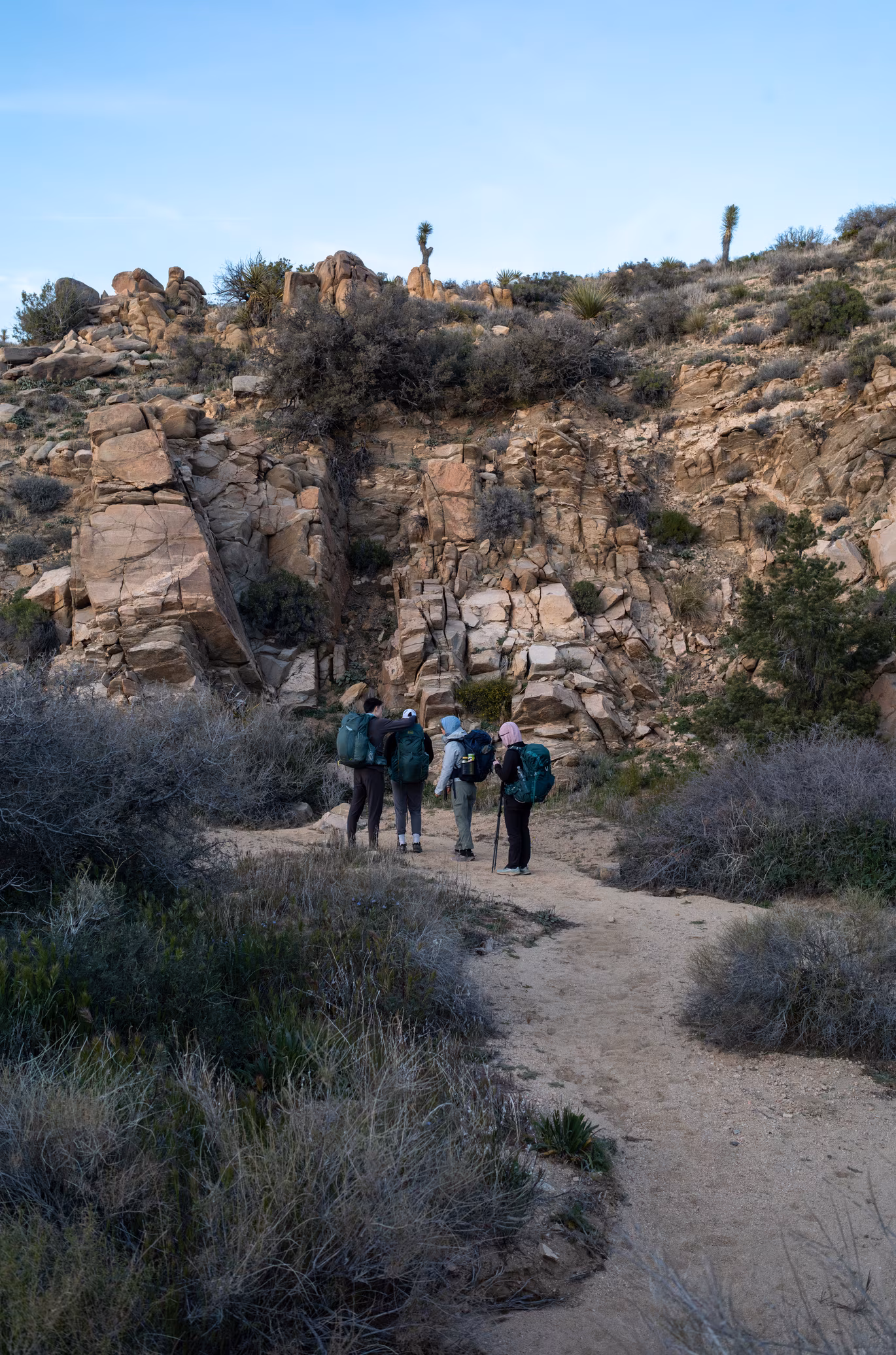 Joshua Tree photo 8