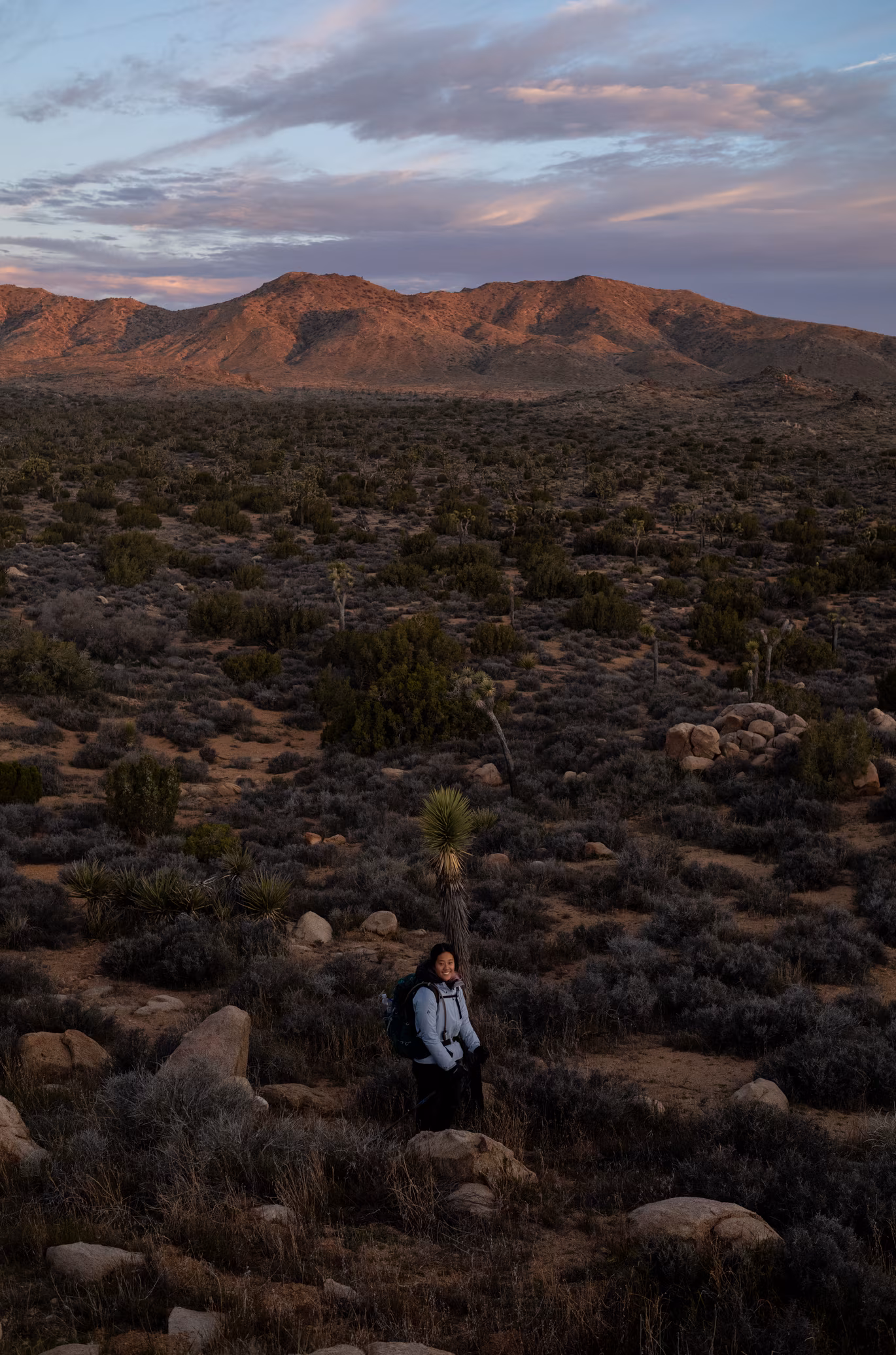 Joshua Tree photo 4