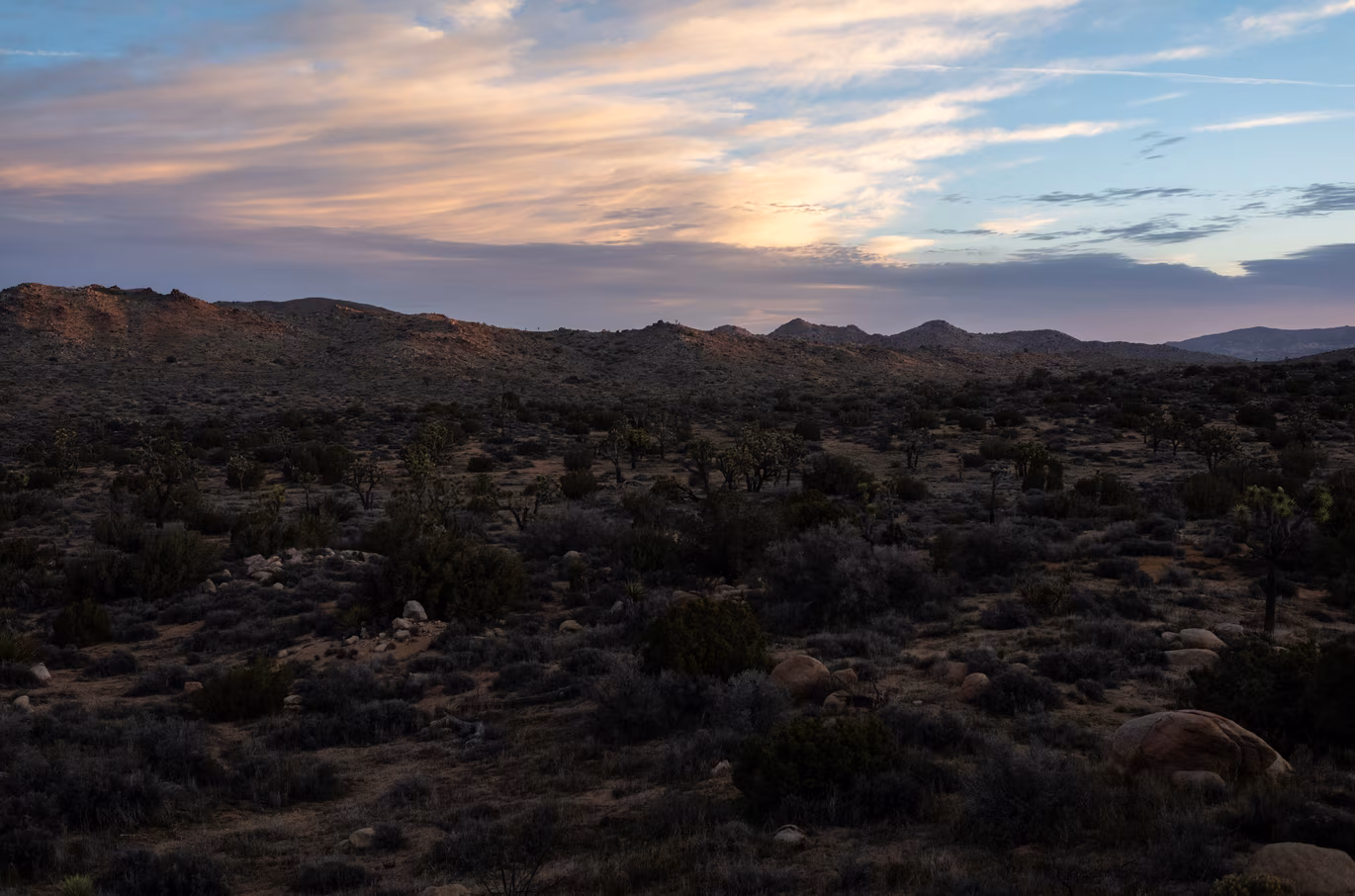 Joshua Tree photo 12