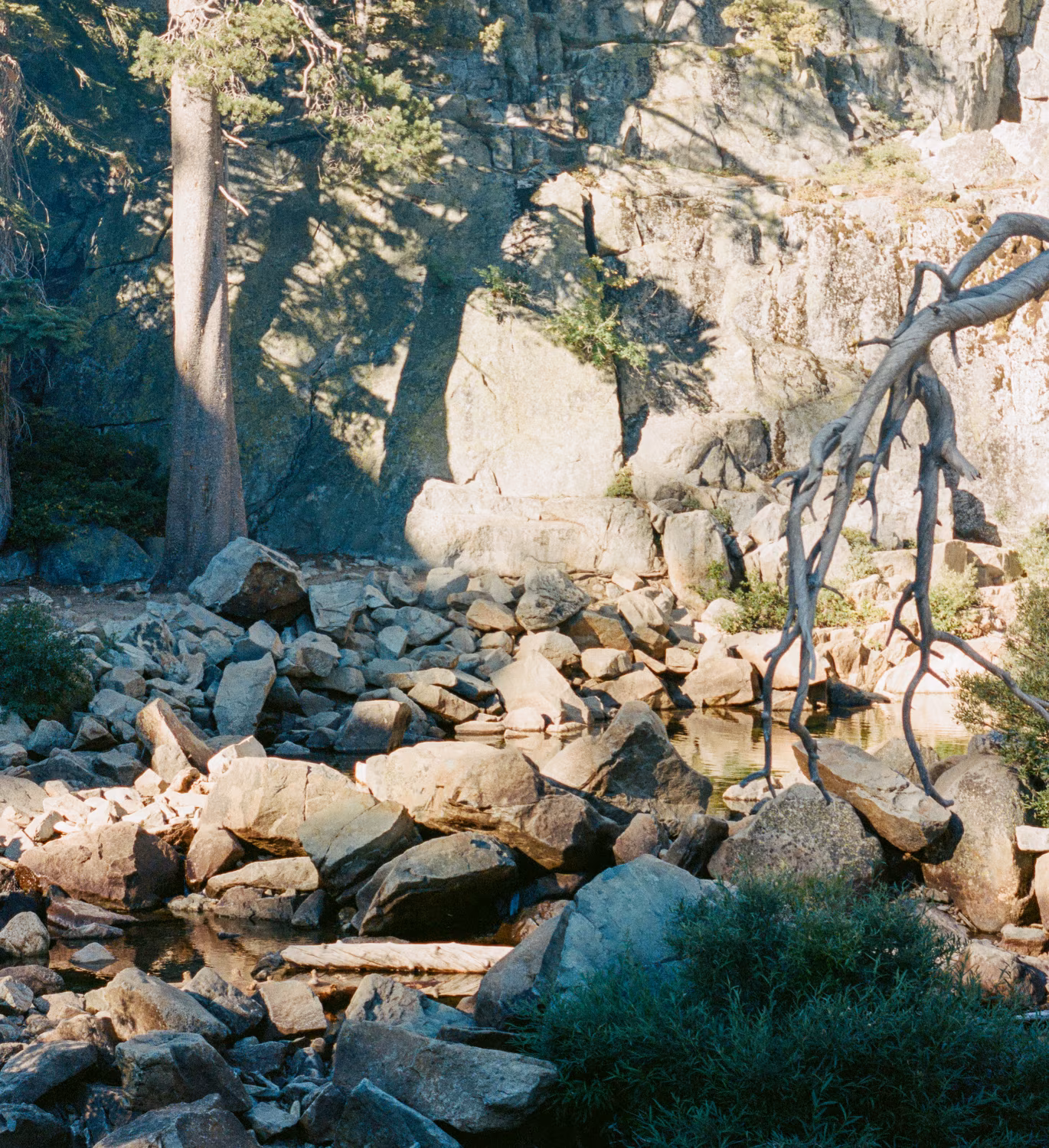 Lake Tahoe photo 15