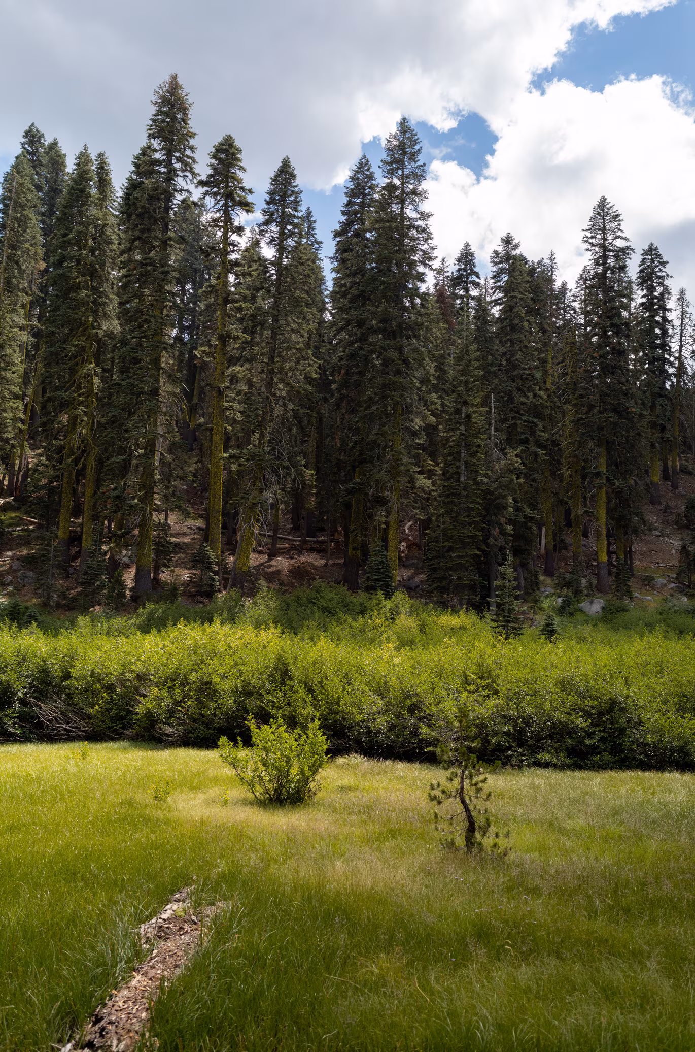 Lake Tahoe photo 8