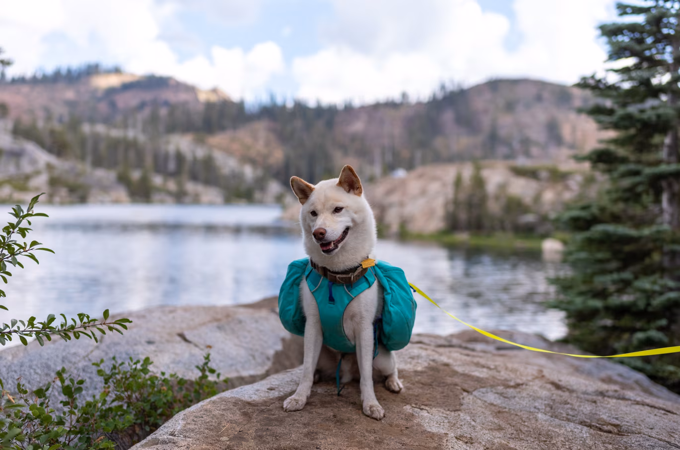 Lake Tahoe photo 13