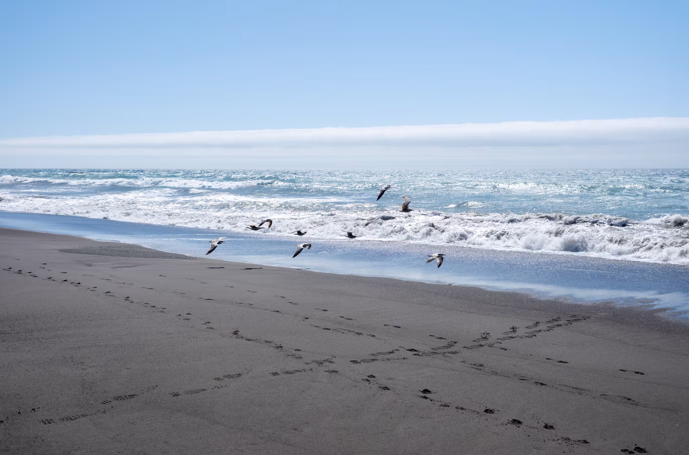 Lost Coast photo 22