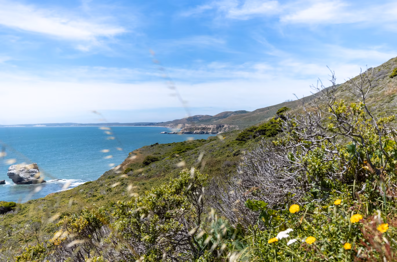 Marin County photo 15