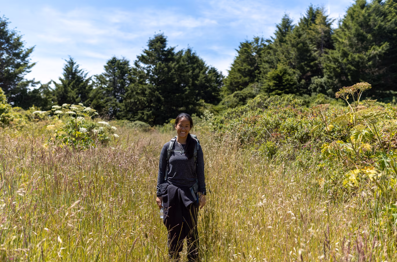 Marin County photo 11