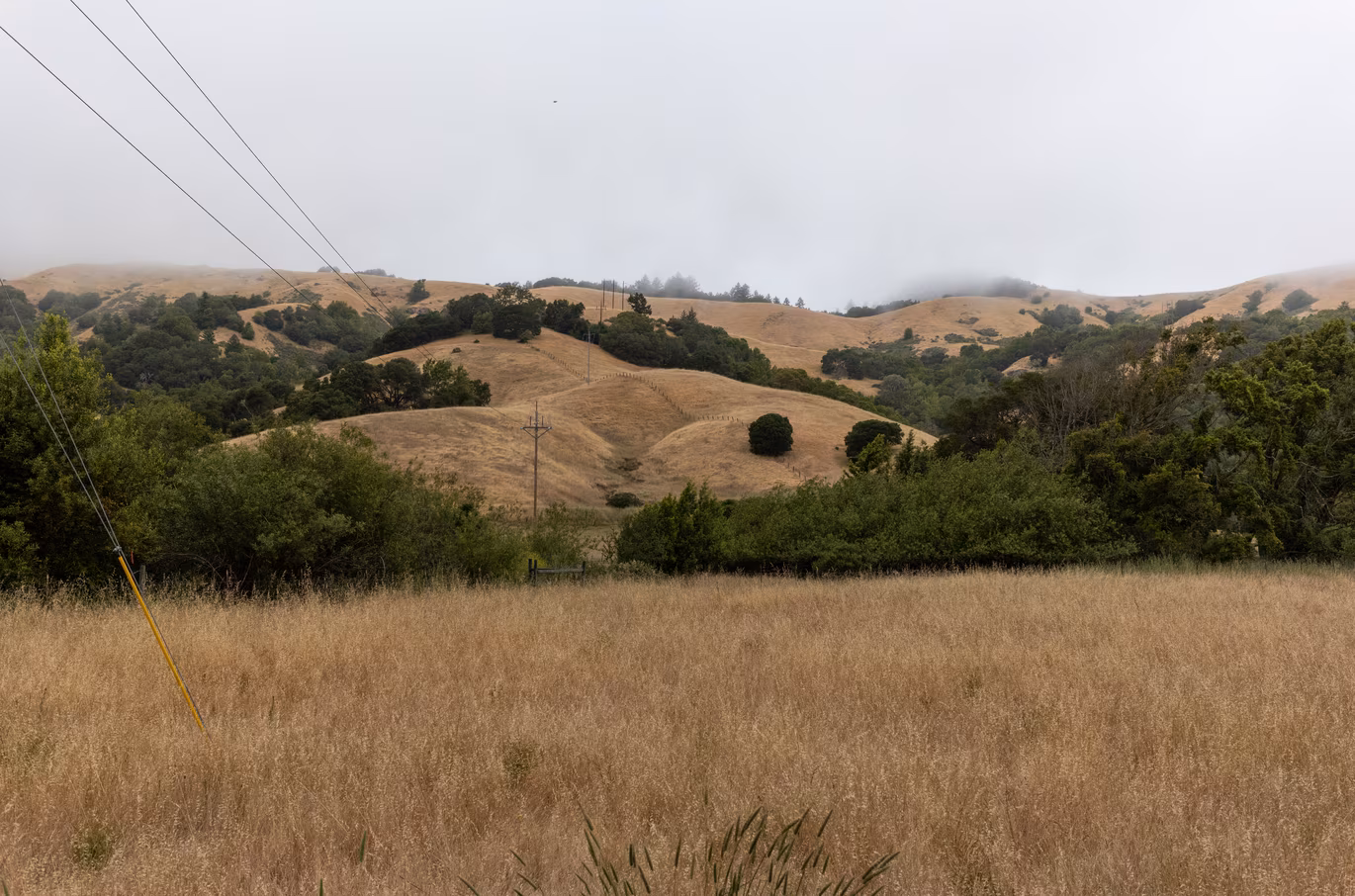 Marin County photo 17