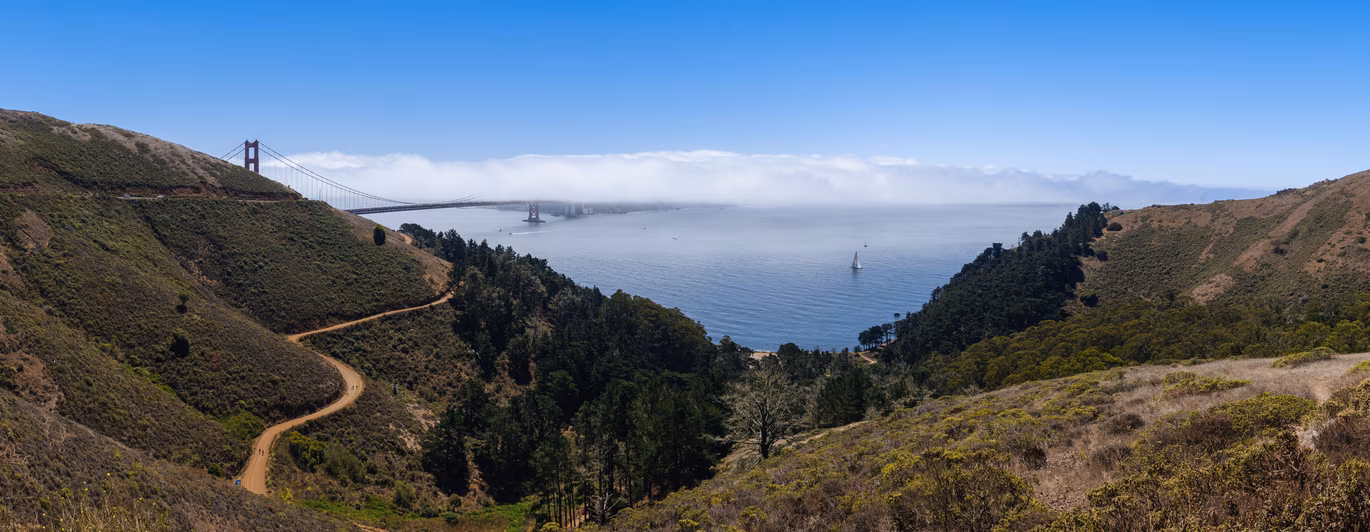 Marin County photo 18