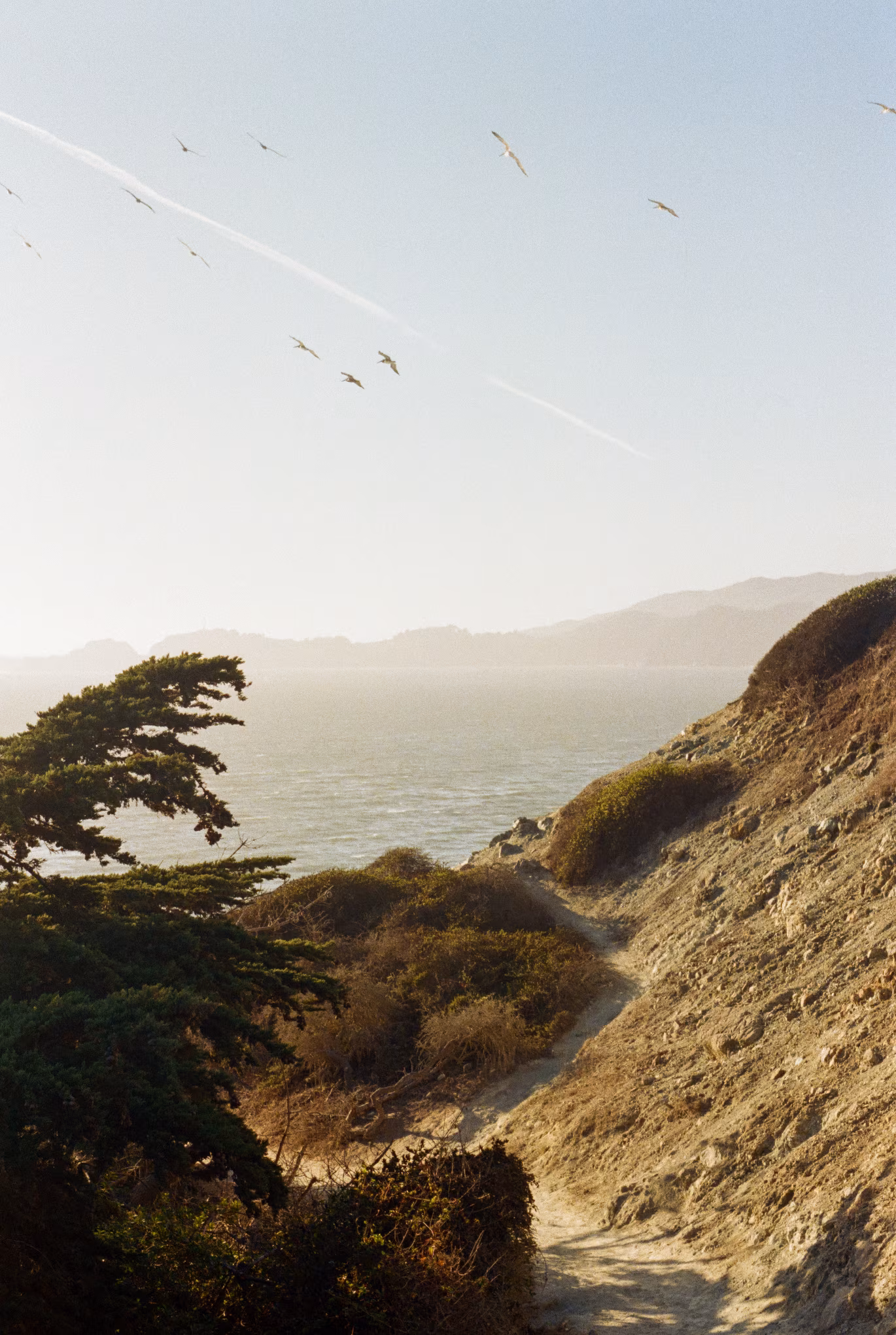 Presidio photo 14