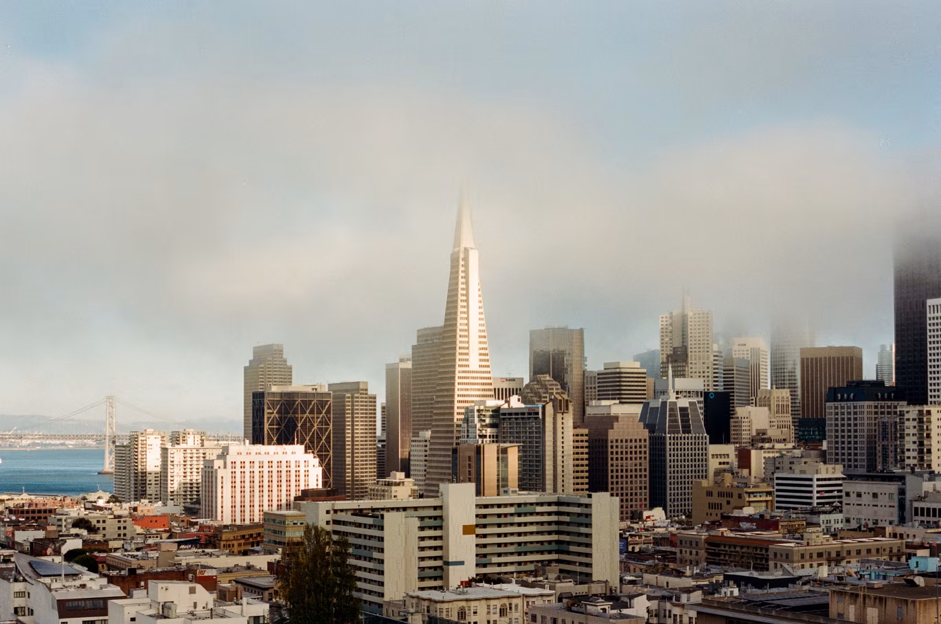 Russian Hill photo 2